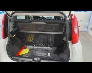 FIAT New Panda usata, con Airbag testa