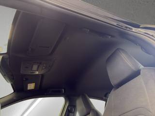 LEXUS UX 250h usata, con Specchietti laterali elettrici