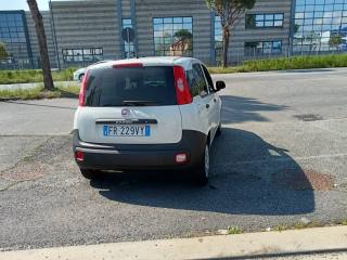 FIAT Panda usata, con ESP