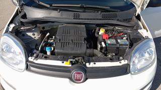 FIAT Panda usata 20