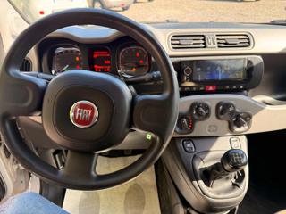 FIAT Panda usata, con USB