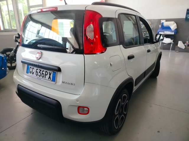 FIAT Panda usata 15