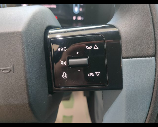 FIAT Grande Panda usata, con Controllo vocale