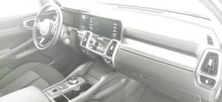 KIA Sorento usata 62