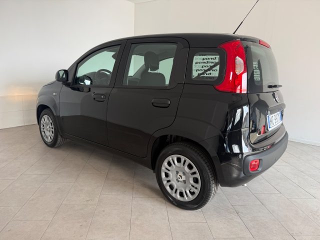 FIAT Pandina usata 1