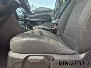 FORD Focus usata, con Sedile posteriore sdoppiato