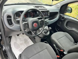FIAT Panda Cross usata, con Cerchi in lega