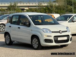 FIAT Panda usata 4