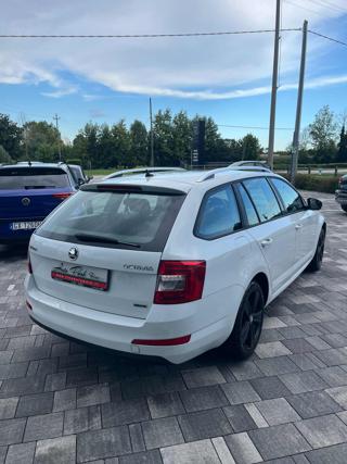 SKODA Octavia usata, con Airbag Passeggero