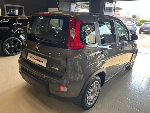 FIAT Panda usata, con Alzacristalli elettrici