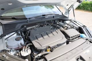 SKODA Octavia usata 170