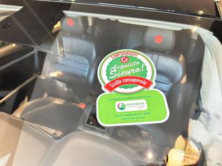 MG ZS usata, con Chiusura centralizzata