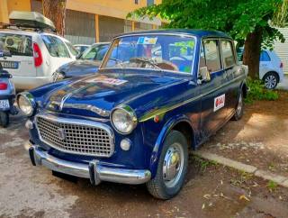 FIAT 1100 usata 2