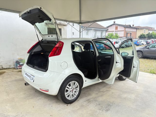 FIAT Punto usata 34