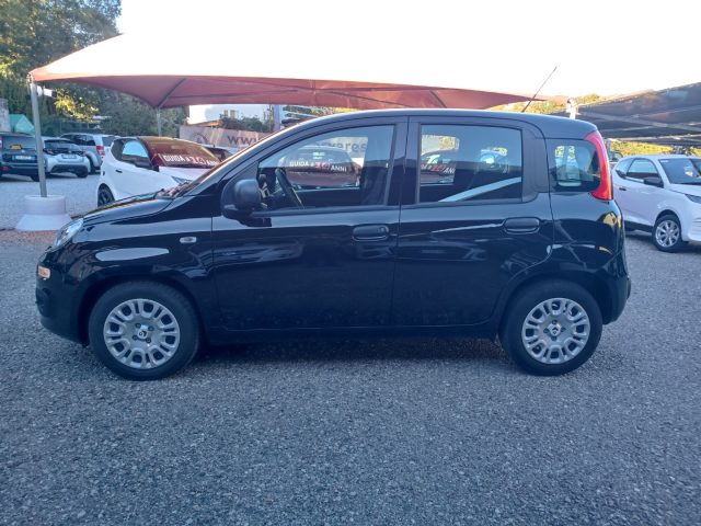 FIAT Panda usata, con Alzacristalli elettrici