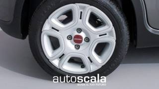 FIAT Panda usata, con Alzacristalli elettrici