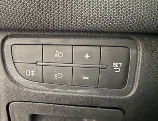 FIAT Punto usata 12