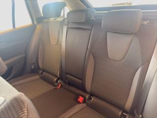 SKODA Octavia usata 9