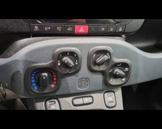FIAT New Panda usata, con Servosterzo