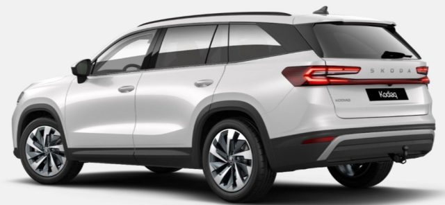SKODA Kodiaq usata, con Airbag laterali