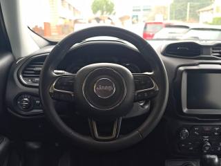 JEEP Renegade usata, con Cruise Control