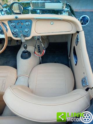 TRIUMPH TR3 usata 13
