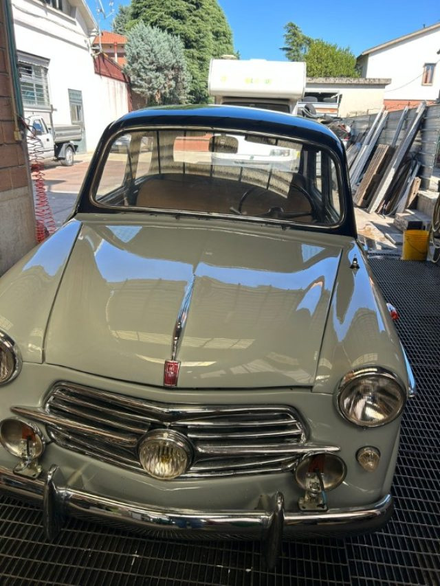 FIAT 1100 usata 5