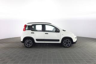 FIAT Panda usata 2