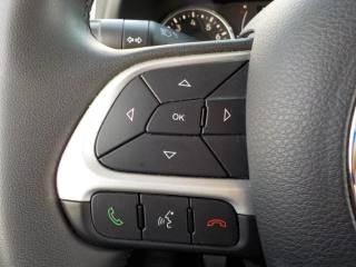 JEEP Renegade usata, con ESP