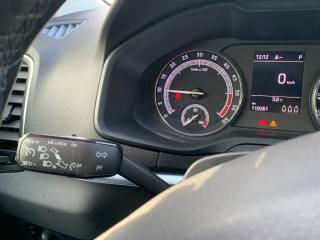 SKODA Karoq usata, con Fendinebbia