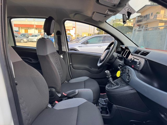 FIAT Panda usata, con Cronologia tagliandi