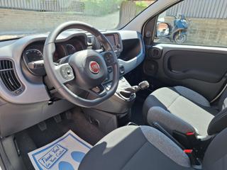 FIAT Panda usata, con Climatizzatore