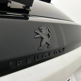PEUGEOT 3008 usata, con Sensore di luce
