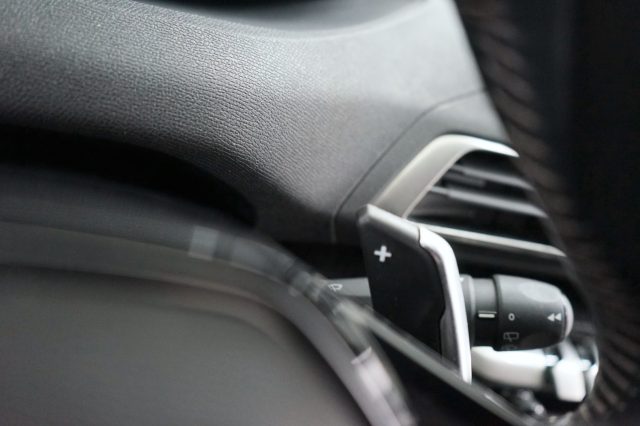 PEUGEOT 3008 usata 55