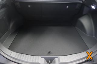 SUBARU Solterra usata, con Autoradio