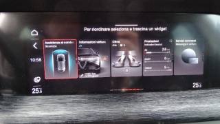 ALFA ROMEO Stelvio usata 100