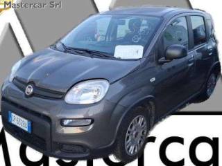 FIAT Panda NEOPATENTATI PANDA 1.0 firefly hybrid  TG: GP632BA