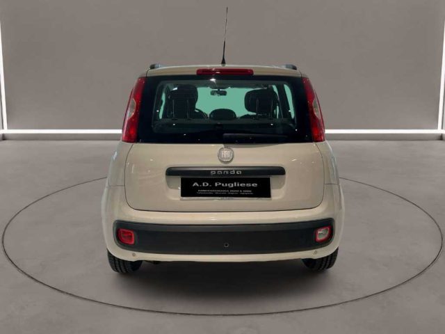 FIAT Panda usata, con Fendinebbia