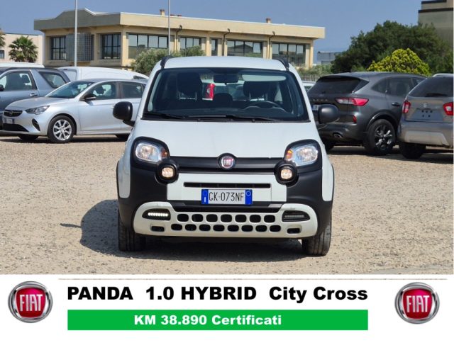 FIAT Panda Cross usata, con Chiusura centralizzata