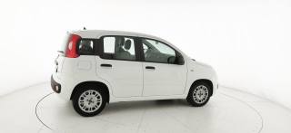 FIAT Panda usata 51