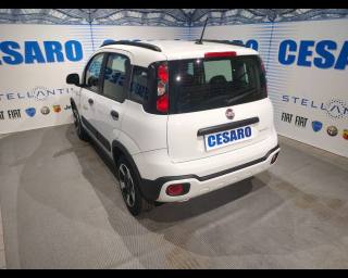 FIAT New Panda usata, con Alzacristalli elettrici