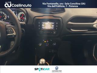 JEEP Renegade usata, con Park Distance Control