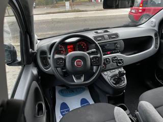 FIAT Panda usata, con Climatizzatore