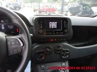 FIAT Panda usata, con Sensore di pioggia