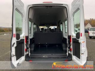 FORD Transit usata 12