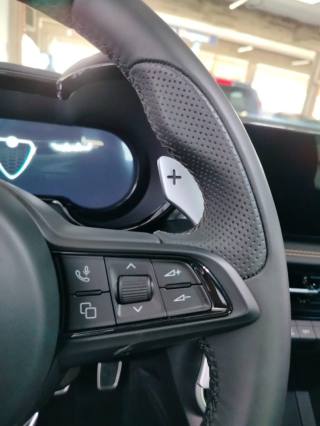 ALFA ROMEO Tonale usata 27