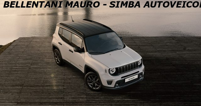 JEEP Renegade usata, con Cerchi in lega
