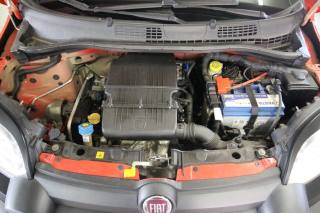 FIAT Panda usata, con Volante in pelle
