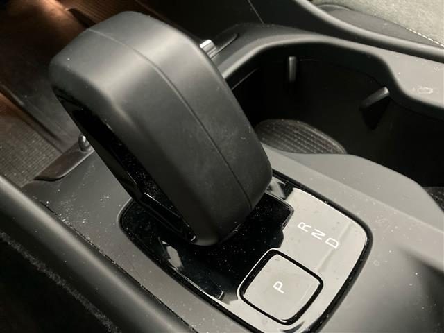 VOLVO XC40 usata 19