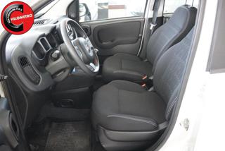 FIAT Panda usata, con Antifurto